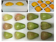 ��ʲô�Ϸ������ޱ��V�����ڼ����(n��i)������